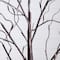3ft. 5ft. 6ft. Artificial Brown Birch Trees with Warm White LED Lights - Set of 3